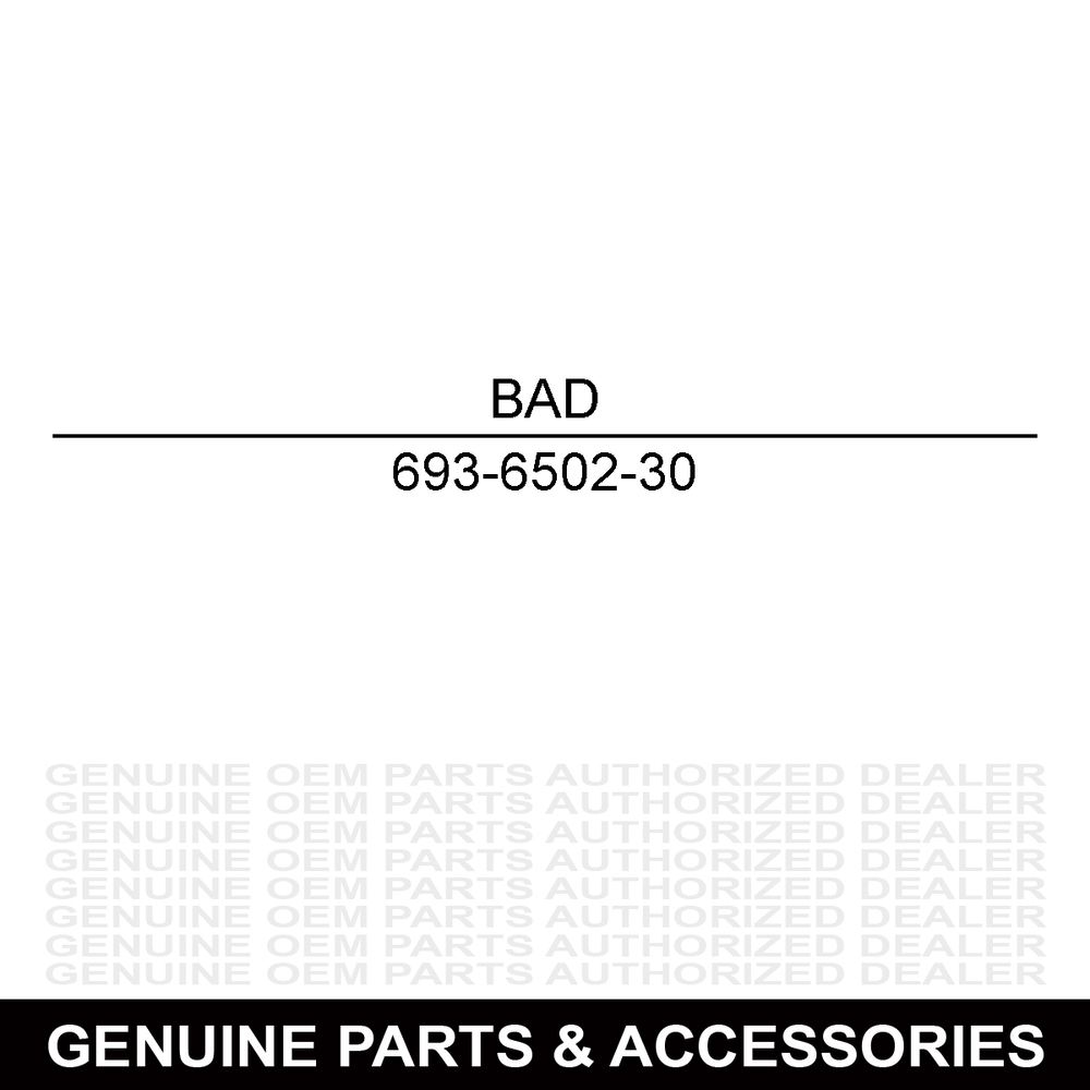 Bad Dawg Accessories 3" Lift Kit 693-6502-30