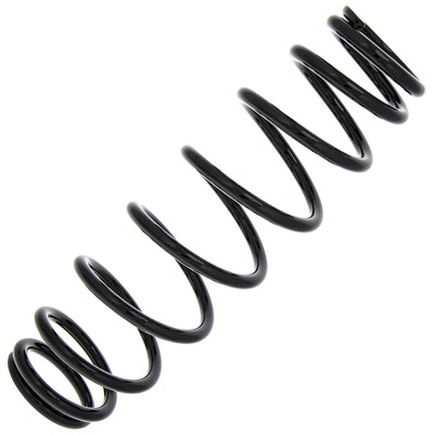 Polaris Flat Spring 100# 12.3 7043697-067