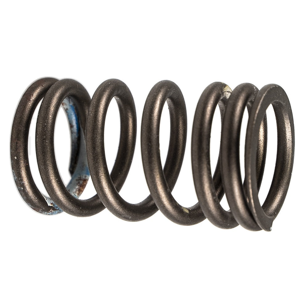 Polaris Valve Spring 7043919 alternate view