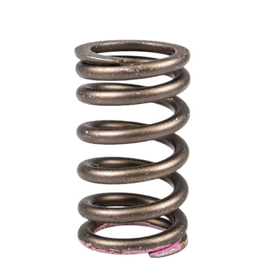 Polaris Valve Spring 7043948