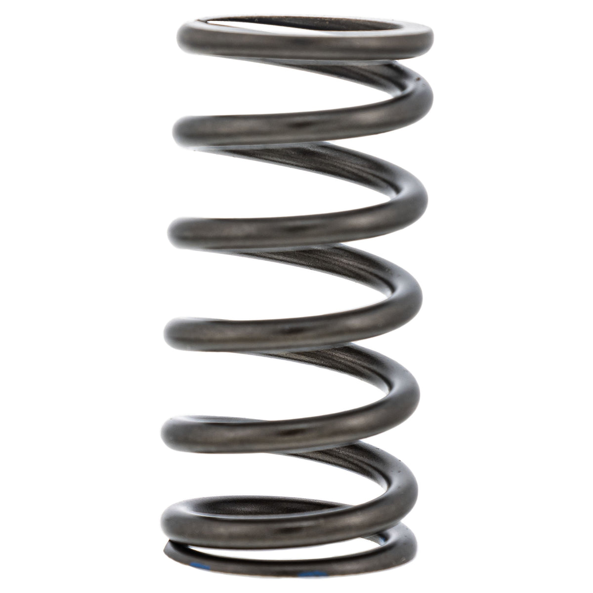 Polaris Valve Spring 7046204