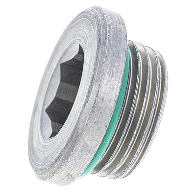 Polaris Hex Socket Plug without-Ring 7052643