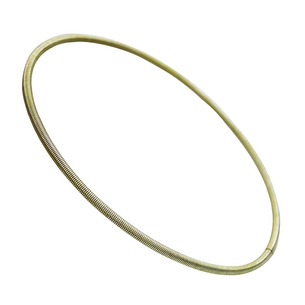 Polaris Air FIlter Spring Clamp 7081441 alternate view