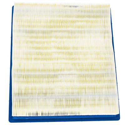 Polaris Air Intake Filter 7081889