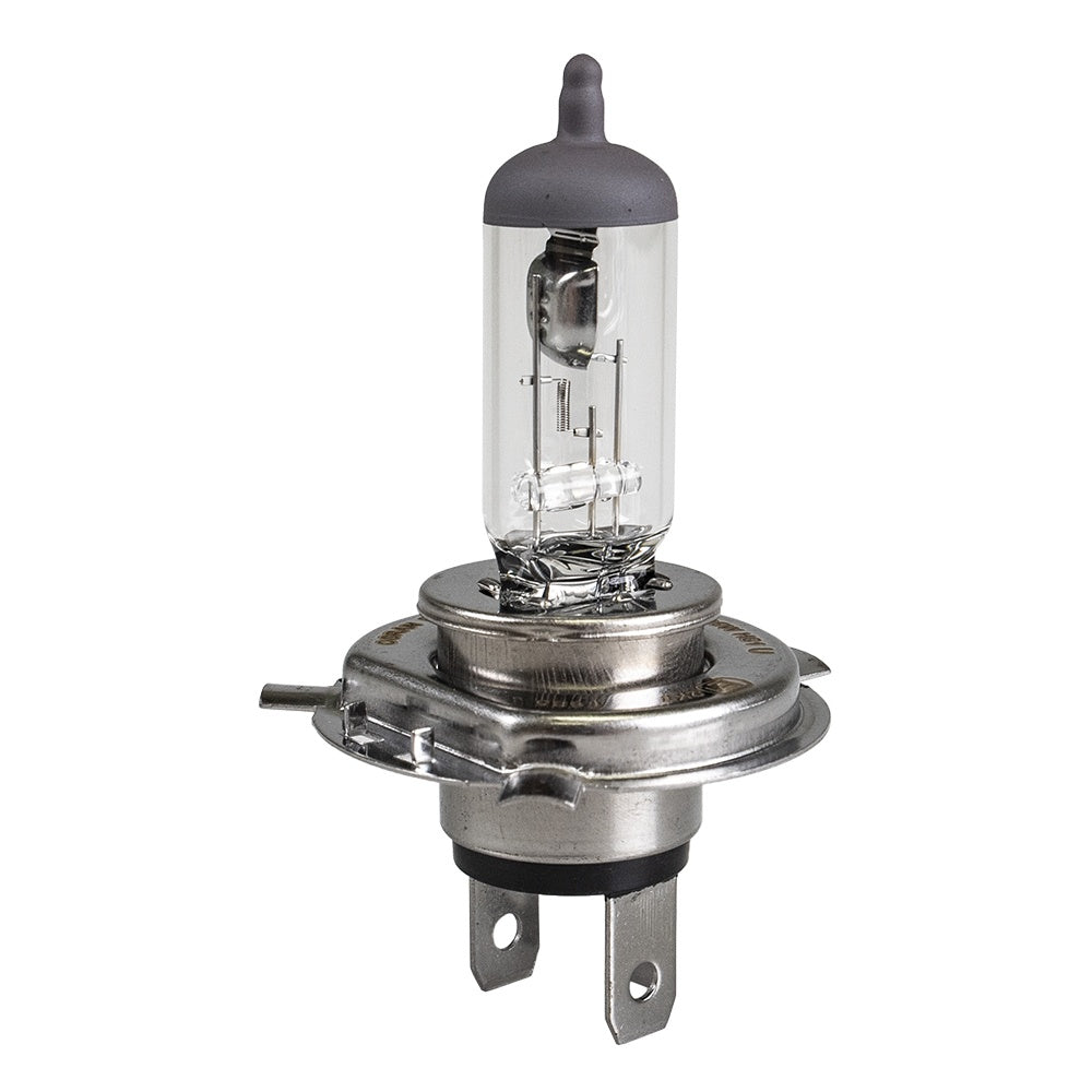 BRP Can-Am 710000871 Bulb 12V 35W XC Outlander DS 570 800 500 450 650 XC