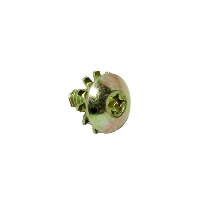 Polaris Fuel Injector Screw 7512048