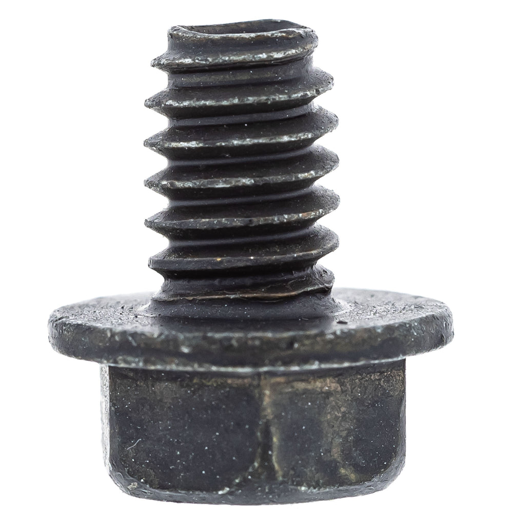 Polaris Screw 7515197
