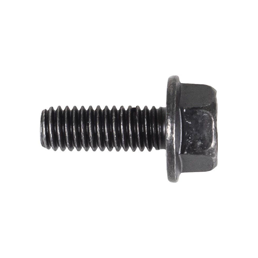 Polaris Hex Flange Screw 6 mm X 1 7518591