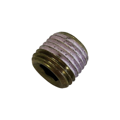 Polaris Hex Socket Sealant Plug 7518835