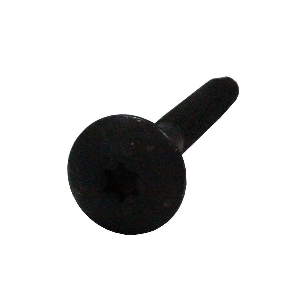 Polaris Screw 7520042