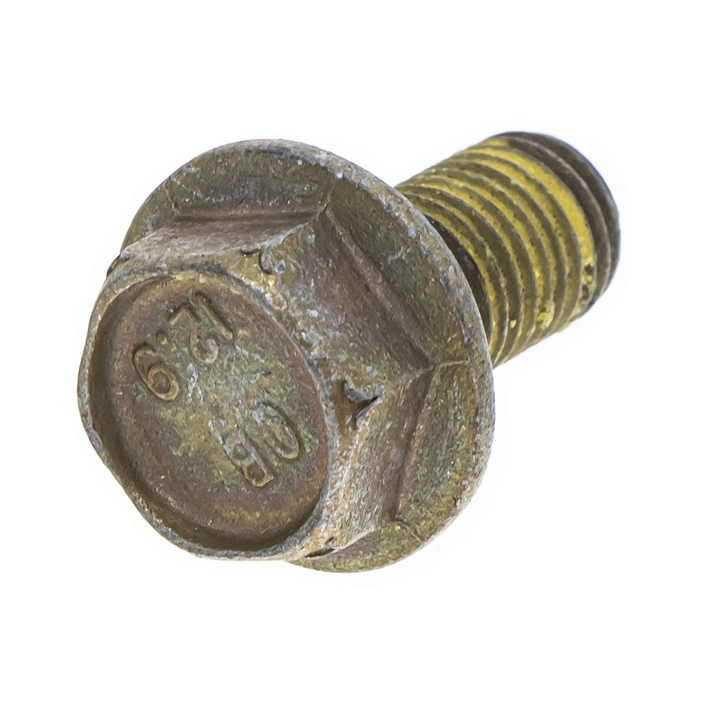 Polaris Hex Flange Screw 10 mm X 1.25 mm 7520441 Pro RMK 600 800 600