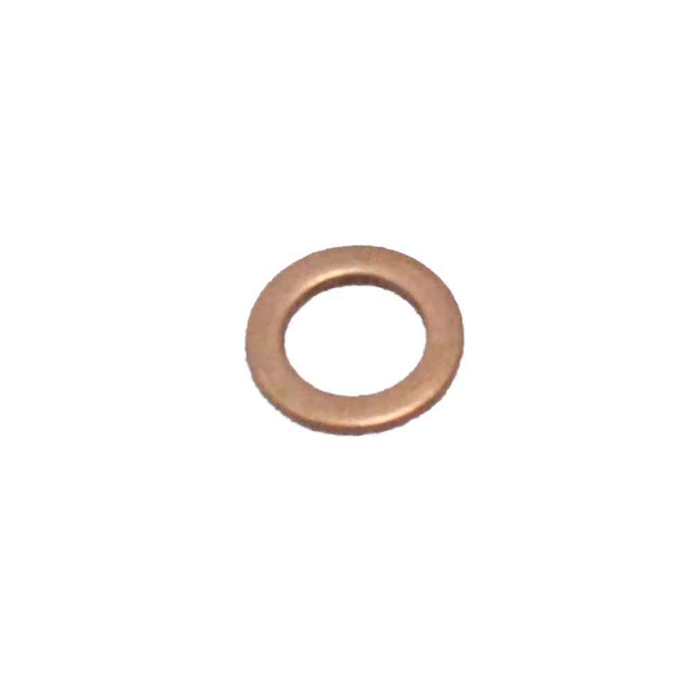 Polaris Copper Washer 7556415
