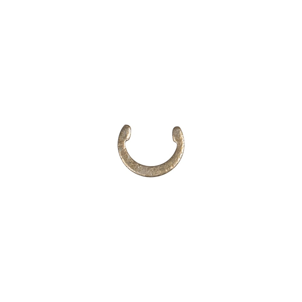 Polaris Retaining Ring 7710503