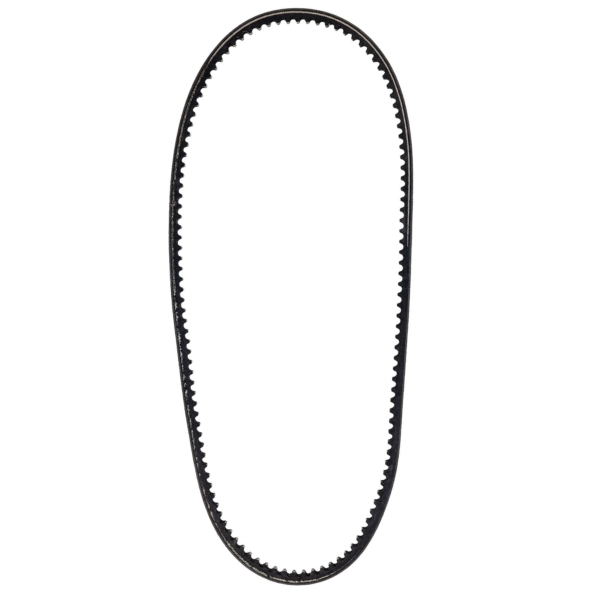 Ferris Belt