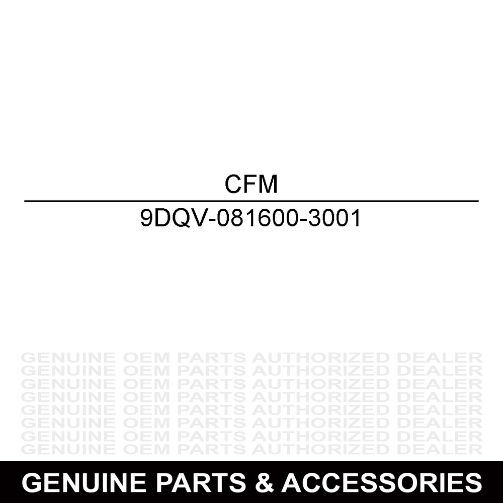 CFMoto Rear Brake Caliper 9DQV-081600-3001