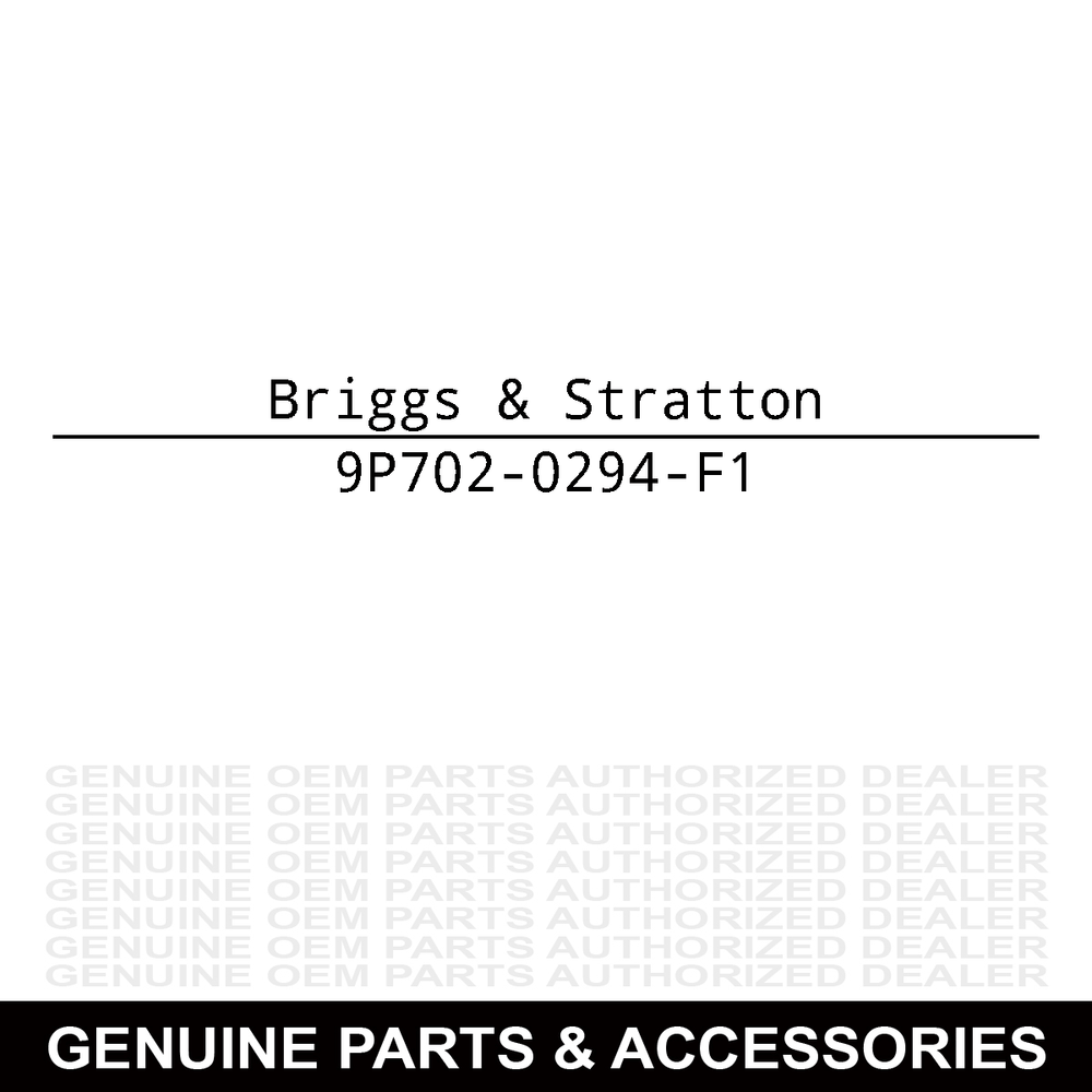Briggs & Stratton EX Series 5.5 GT 140cc Vertical Shaft Engine 9P702-0294-F1