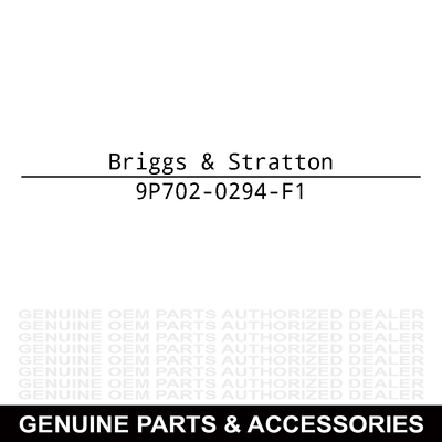 Briggs & Stratton EX Series 5.5 GT 140cc Vertical Shaft Engine 9P702-0294-F1