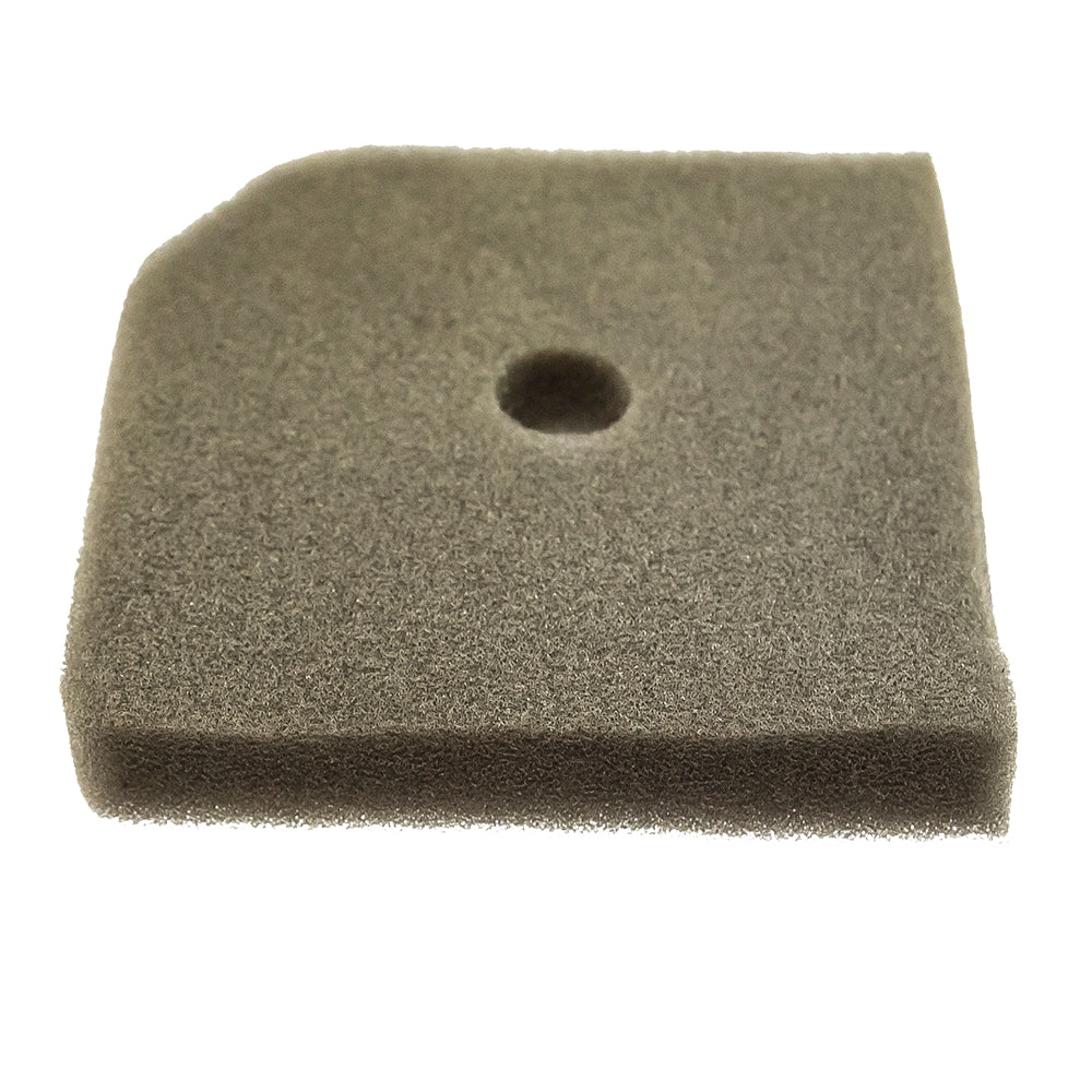 Ariens 21110348 Sparsity Sponge Inverter 2000i