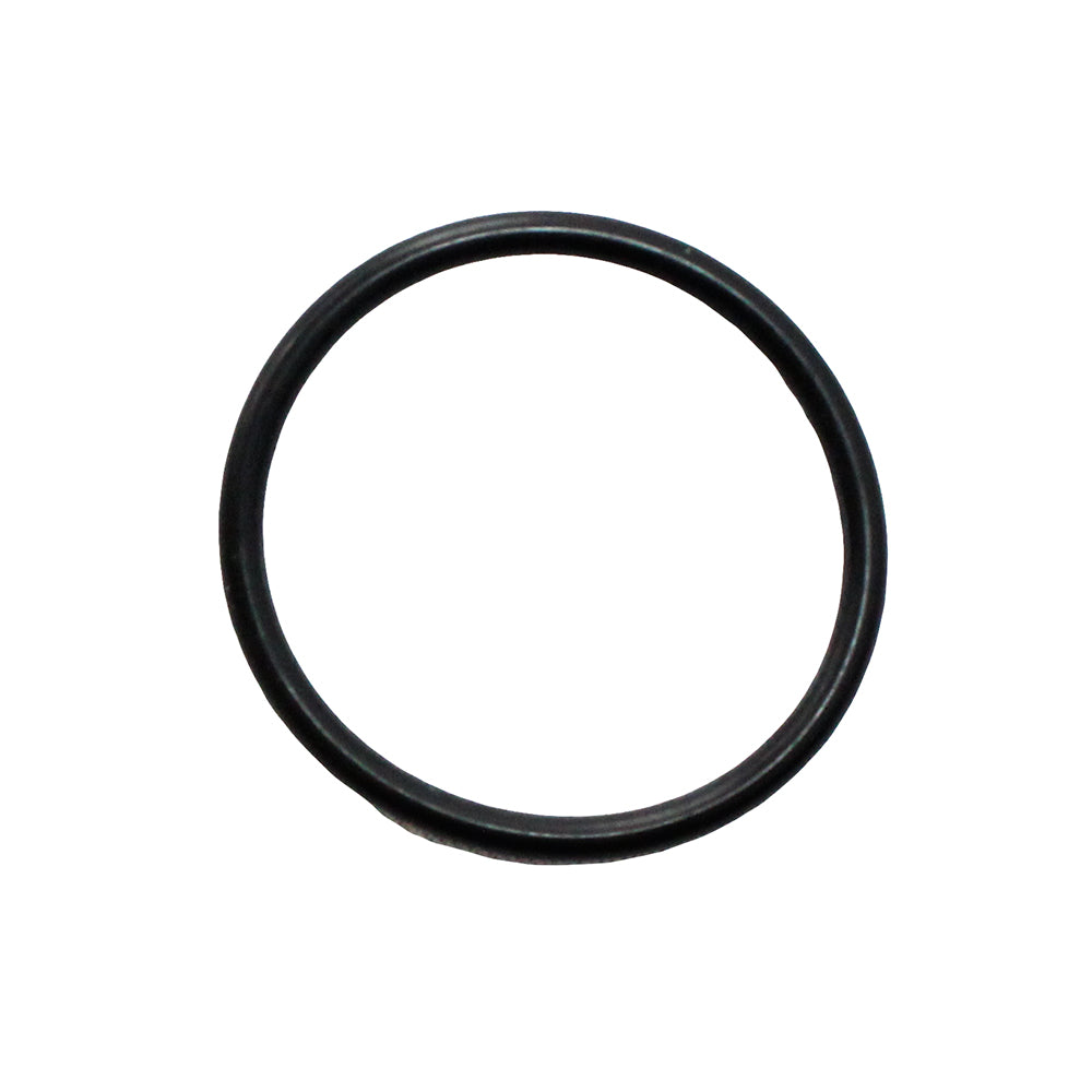Polaris O-Ring 1500020