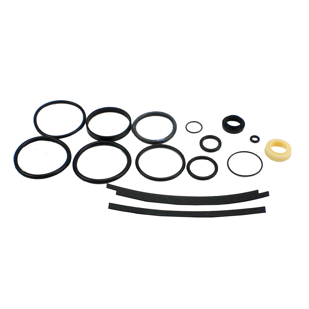 Genuine OEM Polaris Rebuild Kit Indy Switchback IQ Fusion 1500611