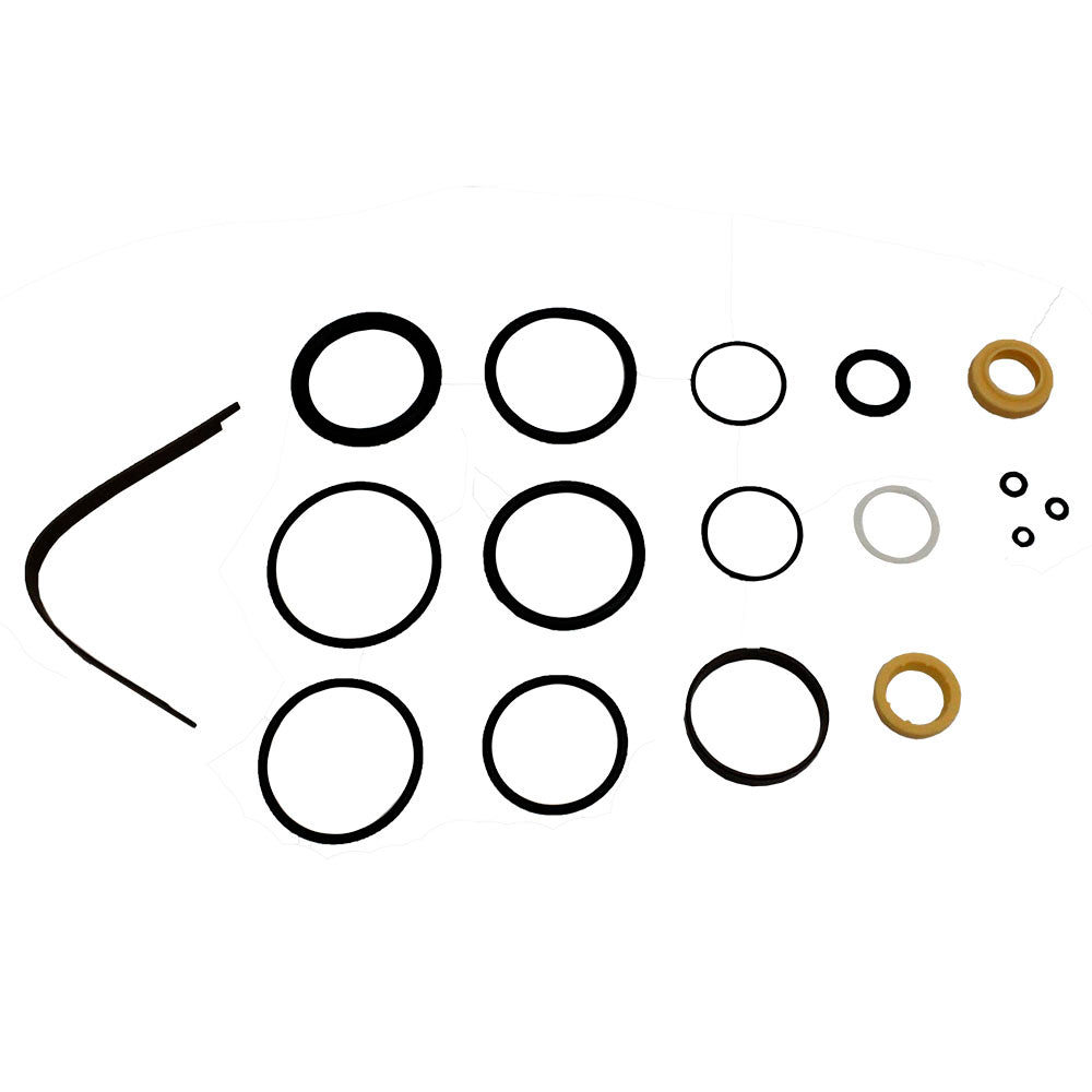 Polaris 1500742 Rear Shock Rebuild Kit RZR Predator Outlaw 800 500 450 S