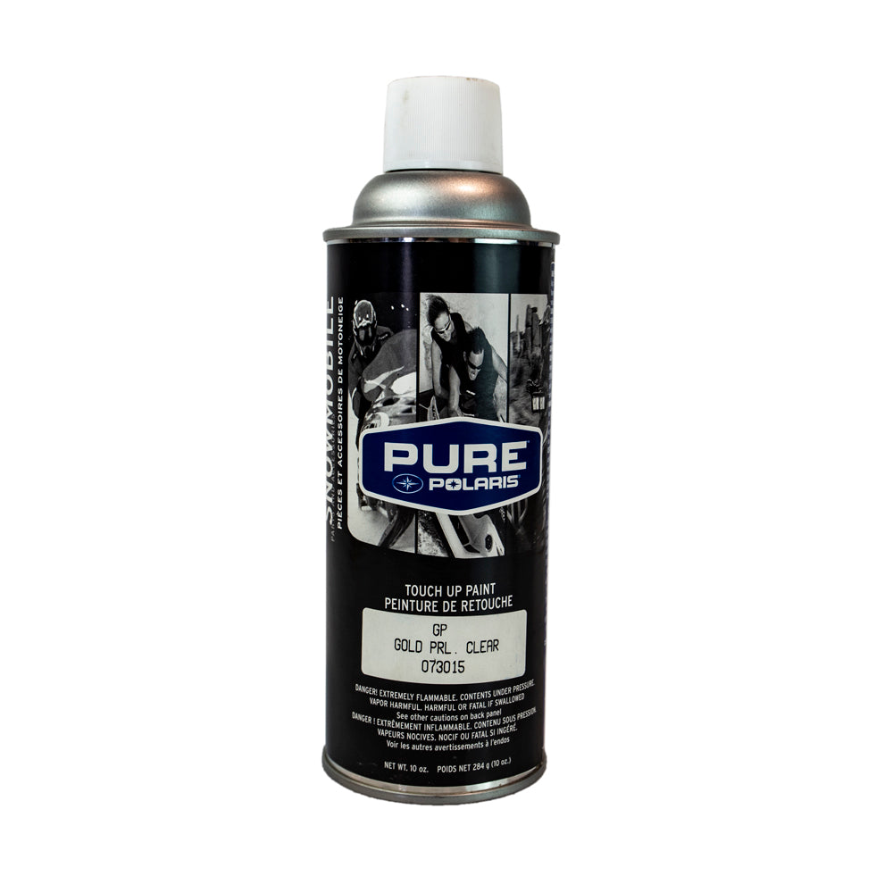 Polaris 2859078-GP Spray Paint